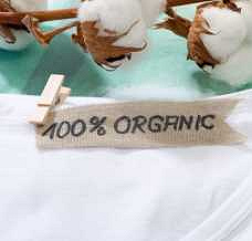Czym jest bawełna organiczna i dlaczego warto kupować ubrania z tej tkaniny?